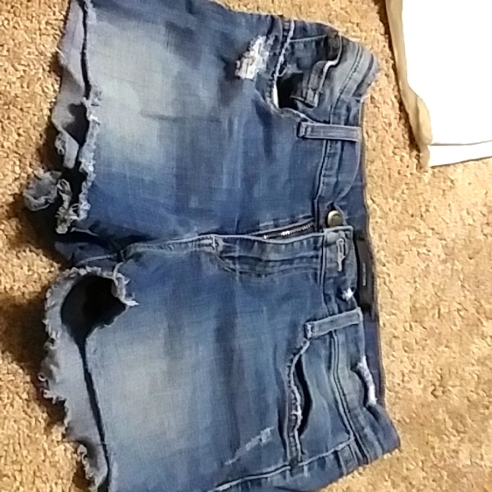 Joe's shorts
